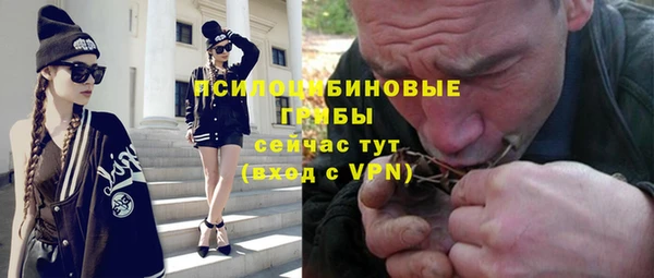 сатива Горняк