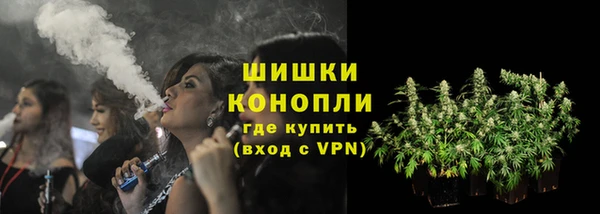 хмурый Вяземский