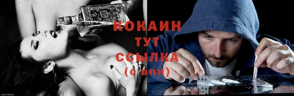 сатива Горняк