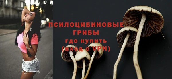 PSILOCYBIN Вязники