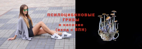 хмурый Вяземский