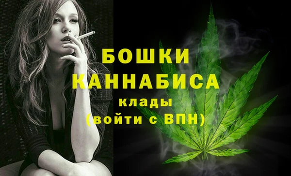 PSILOCYBIN Вязники