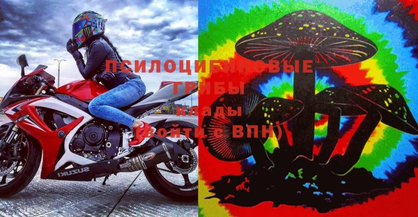 PSILOCYBIN Вязники